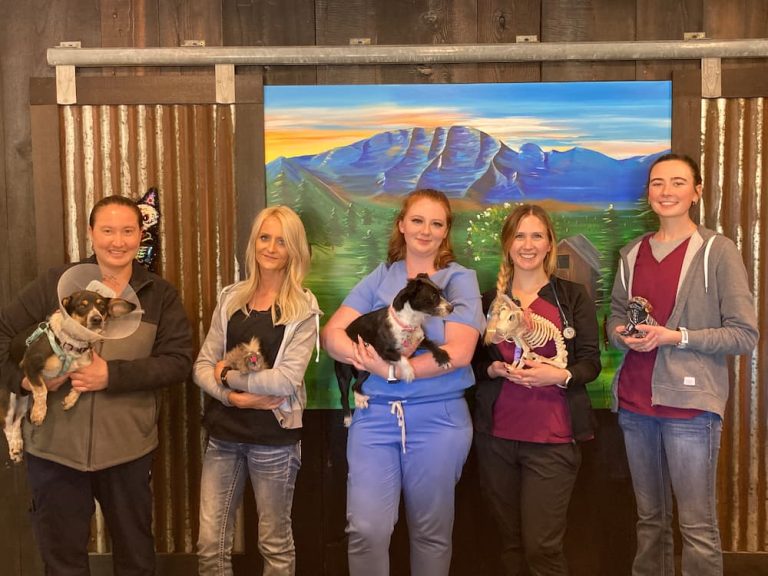 New Clients in Janesville, CA Thompson Peak Veterinary Clinic